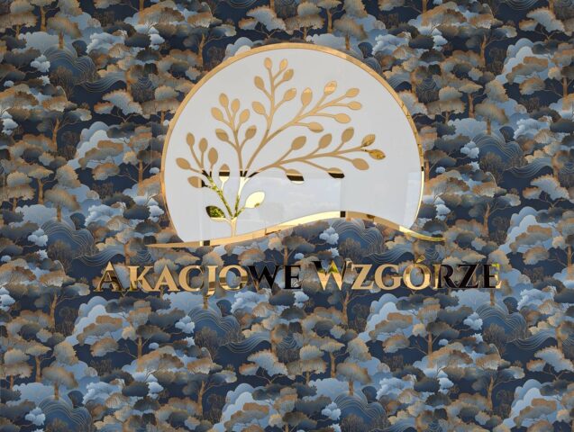 logo przestrzenne